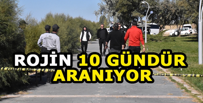 Van'da kaybolan üniversite öğrencisini arama çalışmaları onuncu gününde