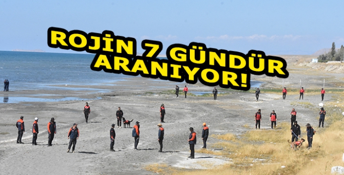 Van'da kaybolan üniversite öğrencisini arama çalışmaları yedinci gününde