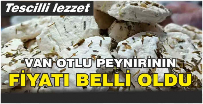 Van otlu peynirinin fiyatı belli oldu