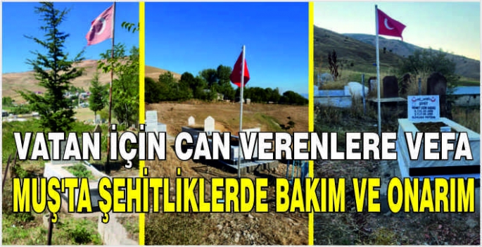 Vatan için can verenlere vefa: Muş’ta şehitliklerde bakım ve onarım