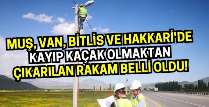 VEDAŞ açıkladı: Muş, Van, Bitlis ve Hakkari'de kayıp kaçak olmaktan çıkarılan rakam belli oldu!