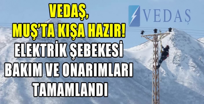 VEDAŞ, Muş’ta kışa hazır! Elektrik şebekesi bakım ve onarımları tamamlandı