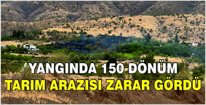 Yangında 150 dönüm tarım arazisi zarar gördü