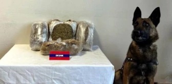 Yolcu Otobüsünde 5 Kilo Skunk Ele Geçirildi