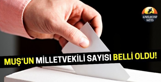 YSK açıkladı: Muş'un yeni dönemde çıkartacağı milletvekili sayısı belli oldu!