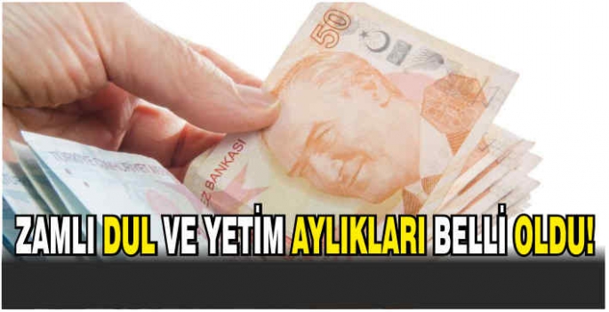 Zamlı dul ve yetim aylıkları belli oldu! İşte kuruşu kuruşuna hesaplanan 2024 maaş aylığı tablosu