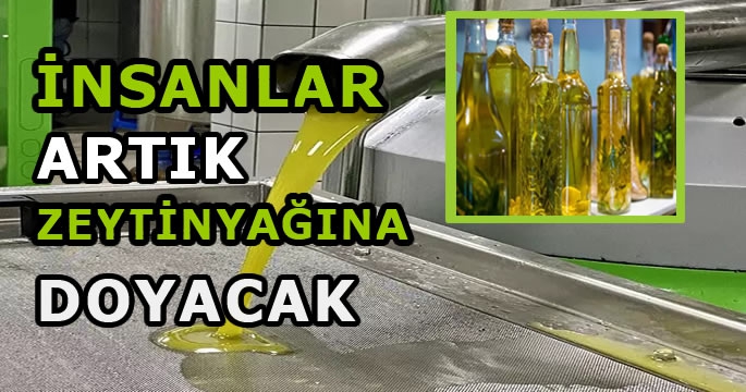 Zeytinyağı fiyatları için Bakanlık’tan yeni açıklama!